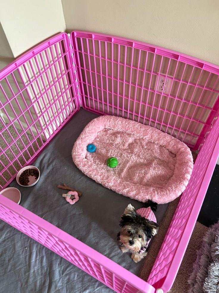 WhatsApp Image 2026-03-22 at 11.16.26 AM (3) Pink open top cage